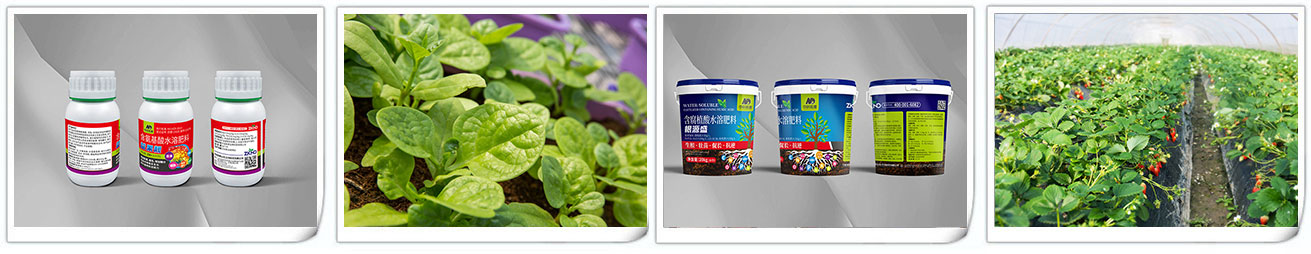 中科诺德(山东)生物科技有限公司