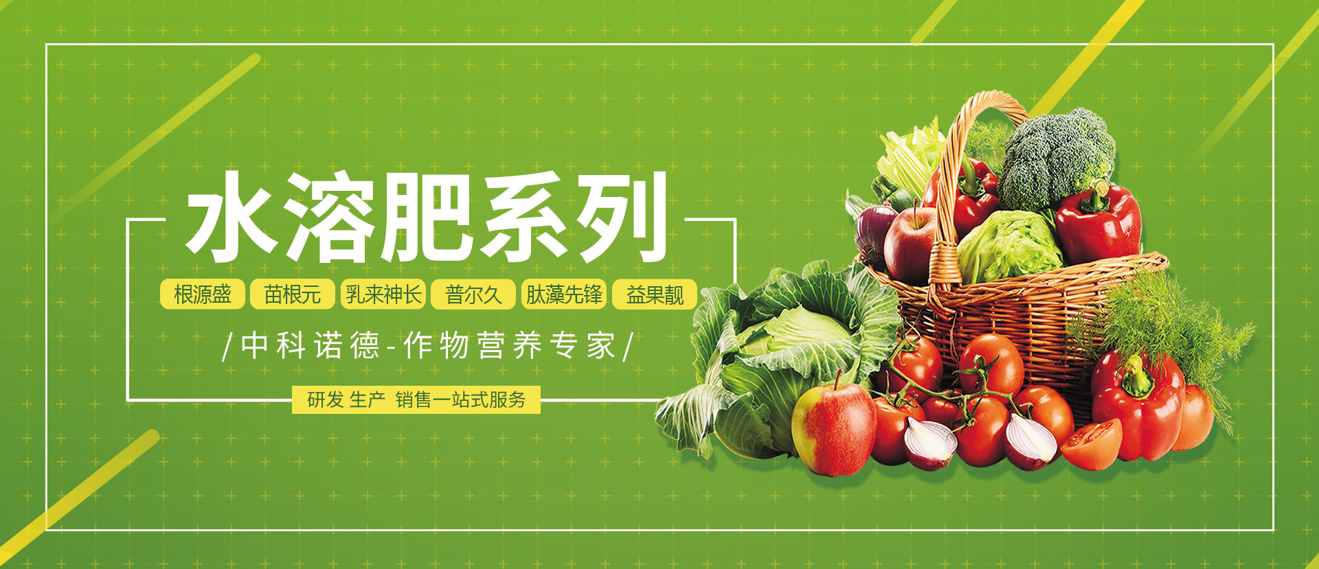 中科诺德（山东）生物科技有限公司